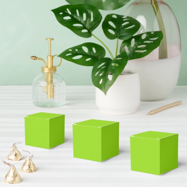Plain green favor boxes (Multiple)