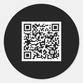 Plain QR Code Elegant Scannable Professional Classic Round Sticker