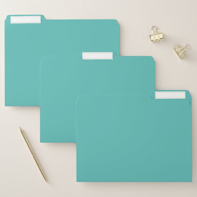 Plain solid eucalyptus pastel turquoise file folder (Set)