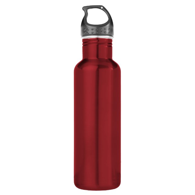Plain Stainless Steel Water Bottle (Back)