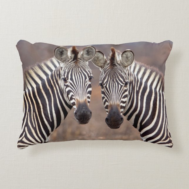 Plain Zebras, Kruger National Park Accent Pillow (Front)