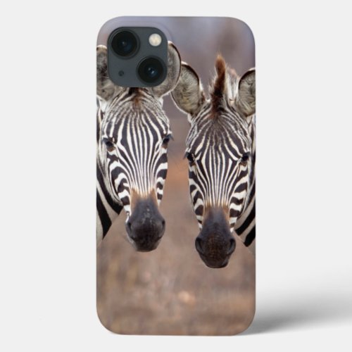 Plain Zebras Kruger National Park iPhone 13 Case