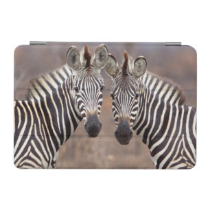 Plain Zebras, Kruger National Park iPad Mini Cover