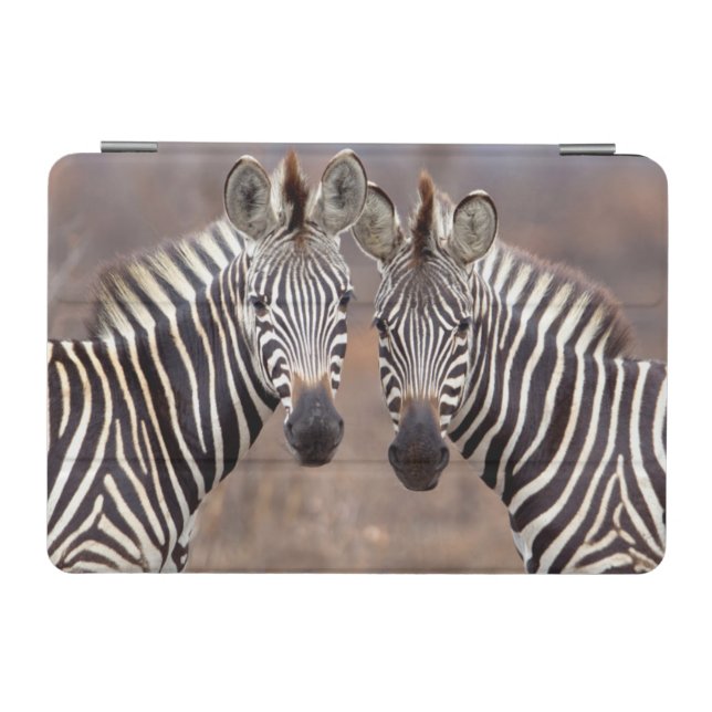 Plain Zebras, Kruger National Park iPad Mini Cover (Horizontal)