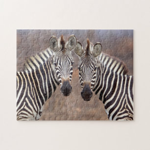 Plain Zebras, Kruger National Park Jigsaw Puzzle