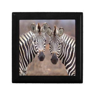 Plain Zebras, Kruger National Park Keepsake Box