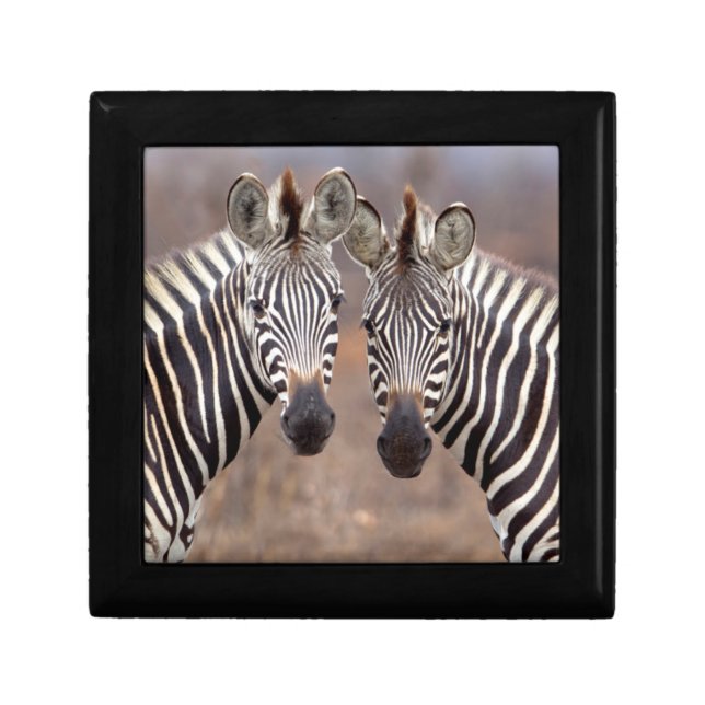 Plain Zebras, Kruger National Park Keepsake Box (Front)