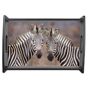 Plain Zebras, Kruger National Park Serving Tray