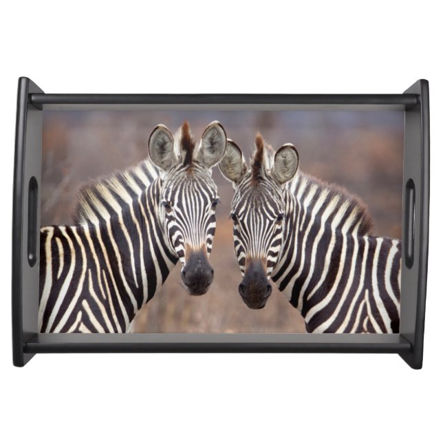 Plain Zebras, Kruger National Park Serving Tray (Front)