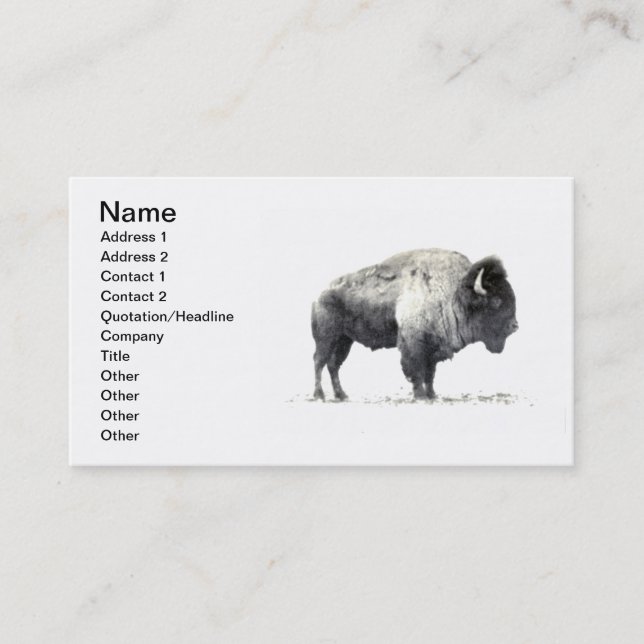 Plains Bison Business Card (Front)