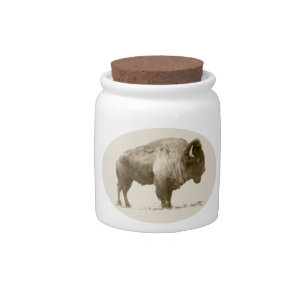 Plains Bison Candy Jar