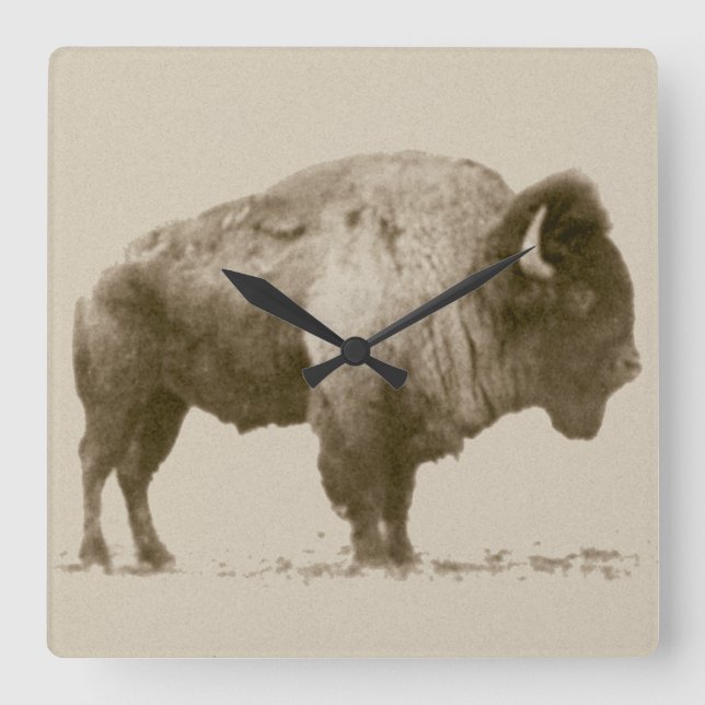 Plains Bison Square Wall Clock (Front)