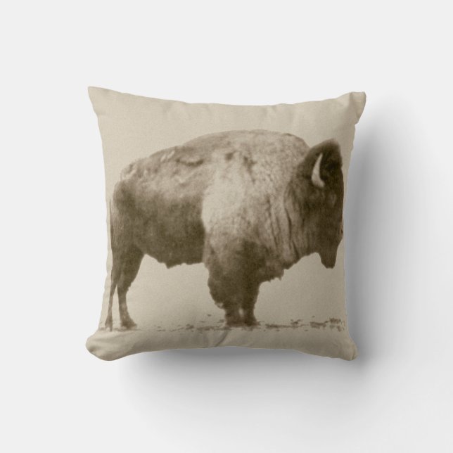Plains Bison Throw Pillow (Front)