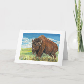 Plains Bull Buffalo American Bison Wildlife Art Card