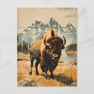 Plains Majesty: Vintage Bison Illustration Postcard