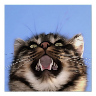 Plaintive Meow Of A Tabby Cat Acrylic Painting Poster