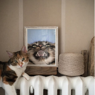 Plaintive Meow Of A Tabby Cat Acrylic Painting  Poster