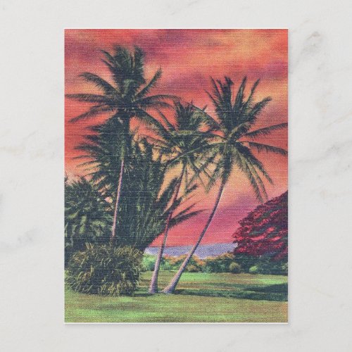 Plam trees on Hawaii island vintage travel poster Postcard