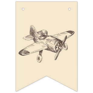 plane, airplane, vintage, BUNNING BANNER