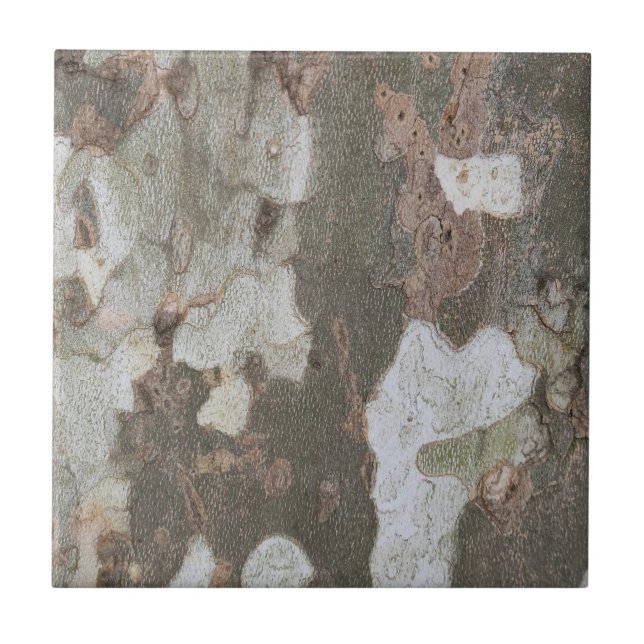 Plane tree camouflage looks bark pattern ceramic t tile (Front)