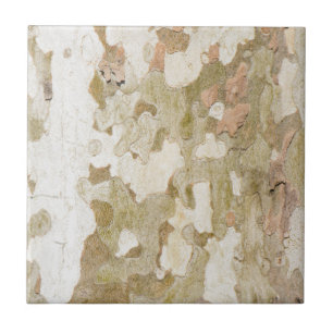 Plane tree camouflage looks bark pattern ceramic tile