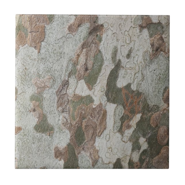 Plane tree camouflage looks bark pattern ceramic tile (Front)