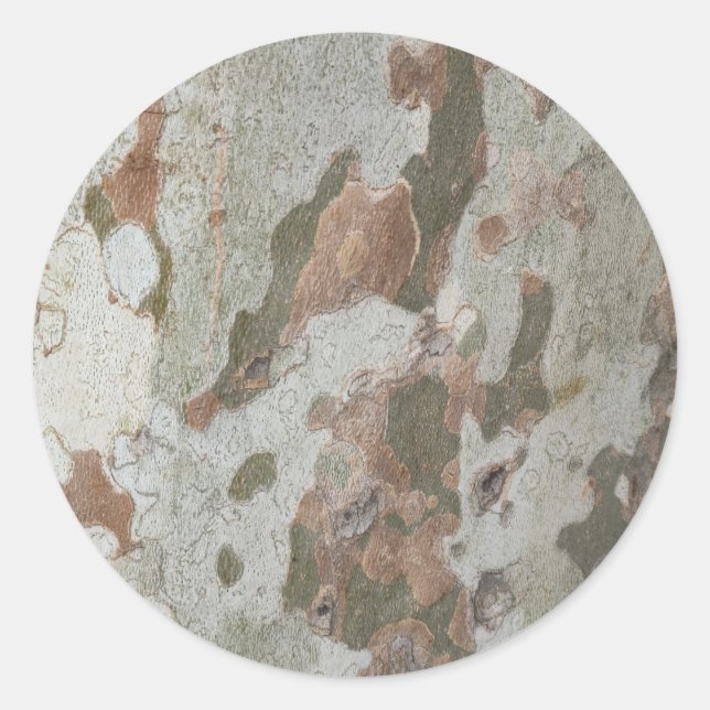 Plane tree camouflage looks bark pattern classic r round sticker (Front)