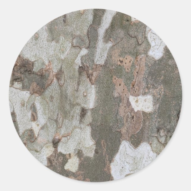 Plane tree camouflage looks bark pattern classic r round sticker (Front)