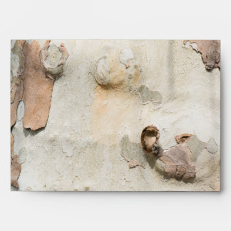 Plane tree camouflage looks bark pattern envelope