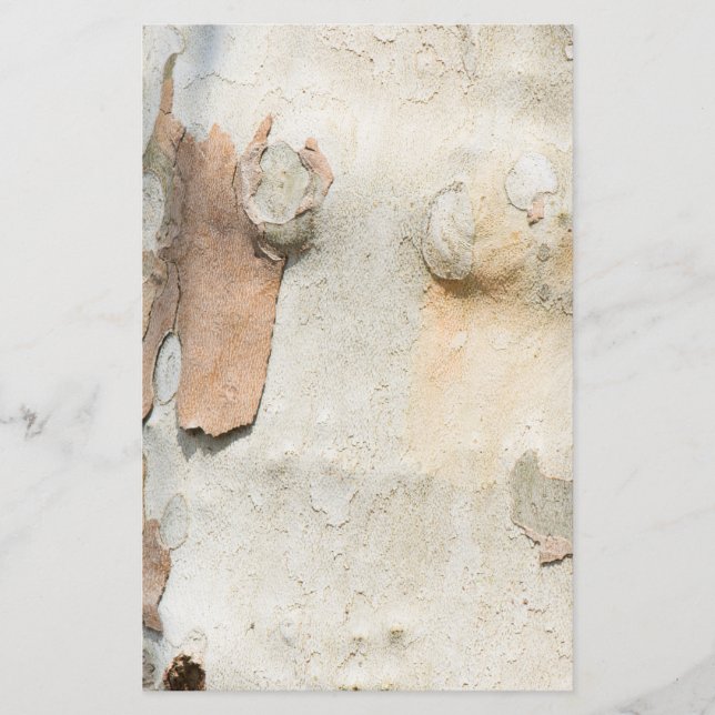 Plane tree camouflage looks bark pattern flyer (Front)