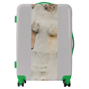 Plane tree camouflage looks bark pattern luggage