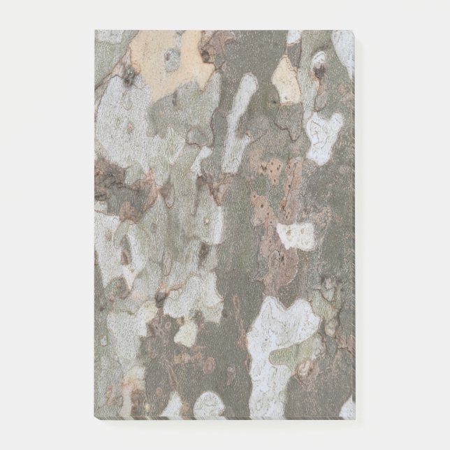 Plane tree camouflage looks bark pattern n post-it notes (Front)