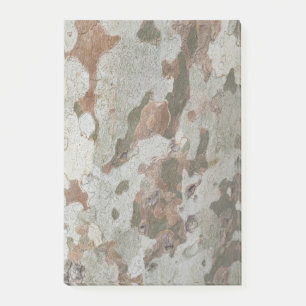 Plane tree camouflage looks bark pattern n post-it notes