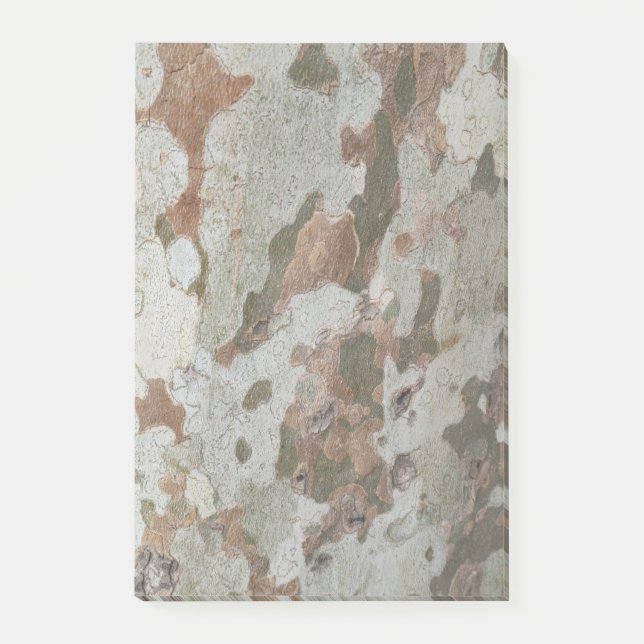 Plane tree camouflage looks bark pattern n post-it notes (Front)