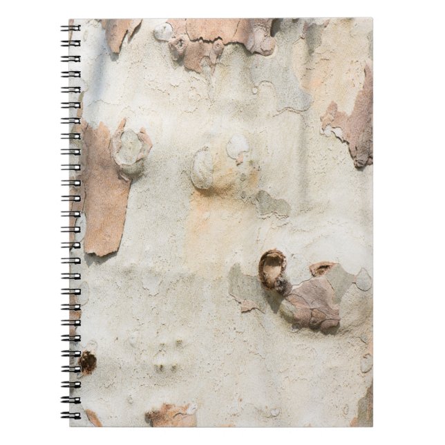 Plane tree camouflage looks bark pattern notebook (Front)