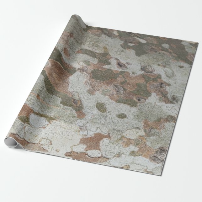 Plane tree camouflage looks bark pattern wrapping  paper (Unrolled)