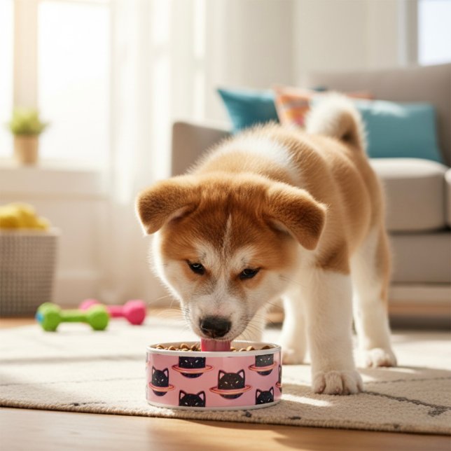 Planet Cat Bowl (Creator Uploaded)