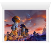 Planet P20 Cards (Inside Horizontal (Bottom))