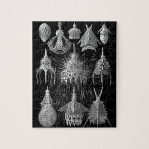 Plankton Shells in Black and White (Cyrtoidea) Jigsaw Puzzle