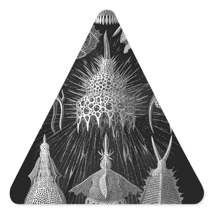 Plankton Shells in Black and White (Cyrtoidea) Triangle Sticker