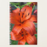 Planner<br><div class="desc">Flower planted of one of my favorite flowers</div>