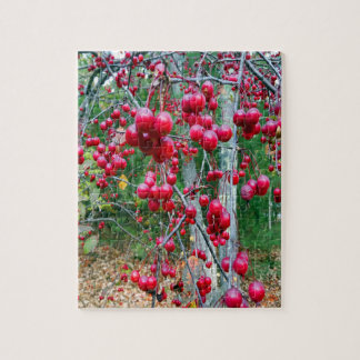 Planner Fall Tree Red Berries Autumn Photo Jigsaw Puzzle
