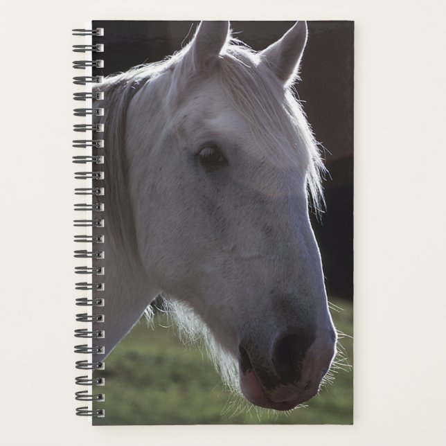 Planner Horse Photo Equine White Horsehead (Front)