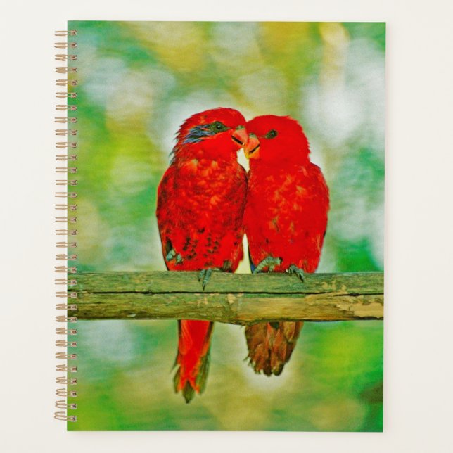 Planner love birds (Front)
