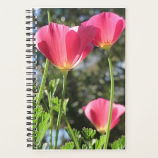 Planner Mt Tamalpais with Pink Flowers