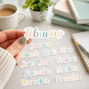 Planner Stickers Retro Rainbow Months of the Year