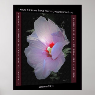 Plans Poster