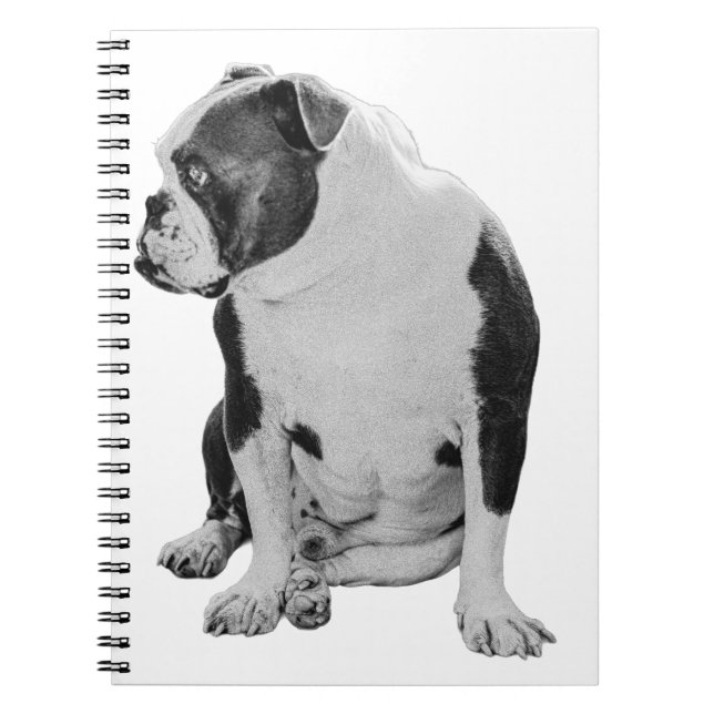 Plans With a Seated Pal Notebook (Front)