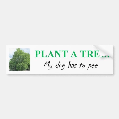 PLANT A TREE BUMPER STICKER