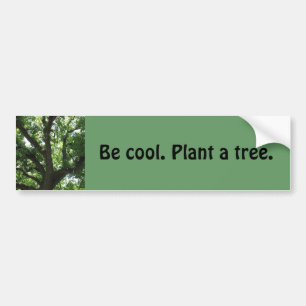 "Plant A Tree" Bumper Sticker